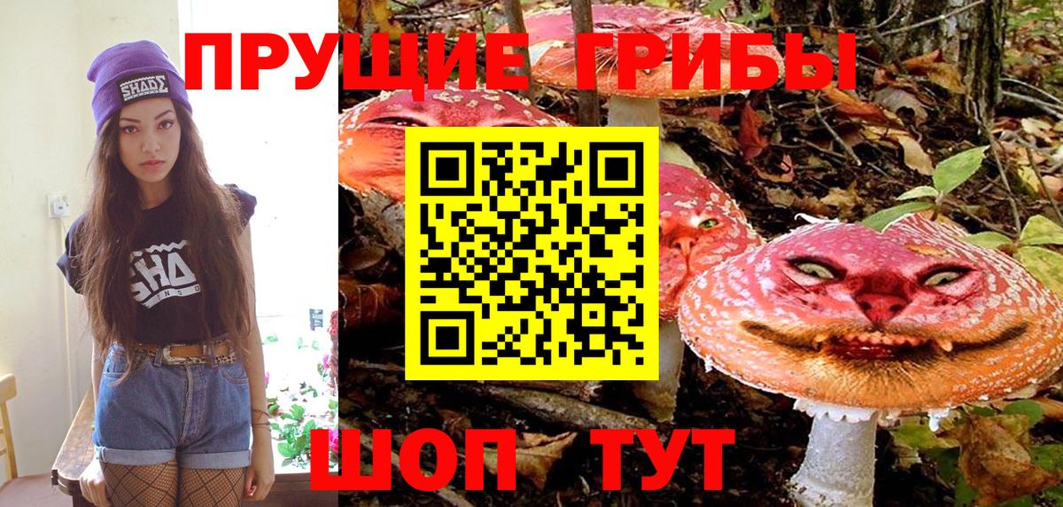 Псилоцибиновые грибы Cubensis Новодвинск