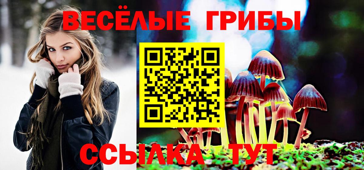 Новодвинск  Псилоцибиновые грибы мицелий  Вход с VPN 